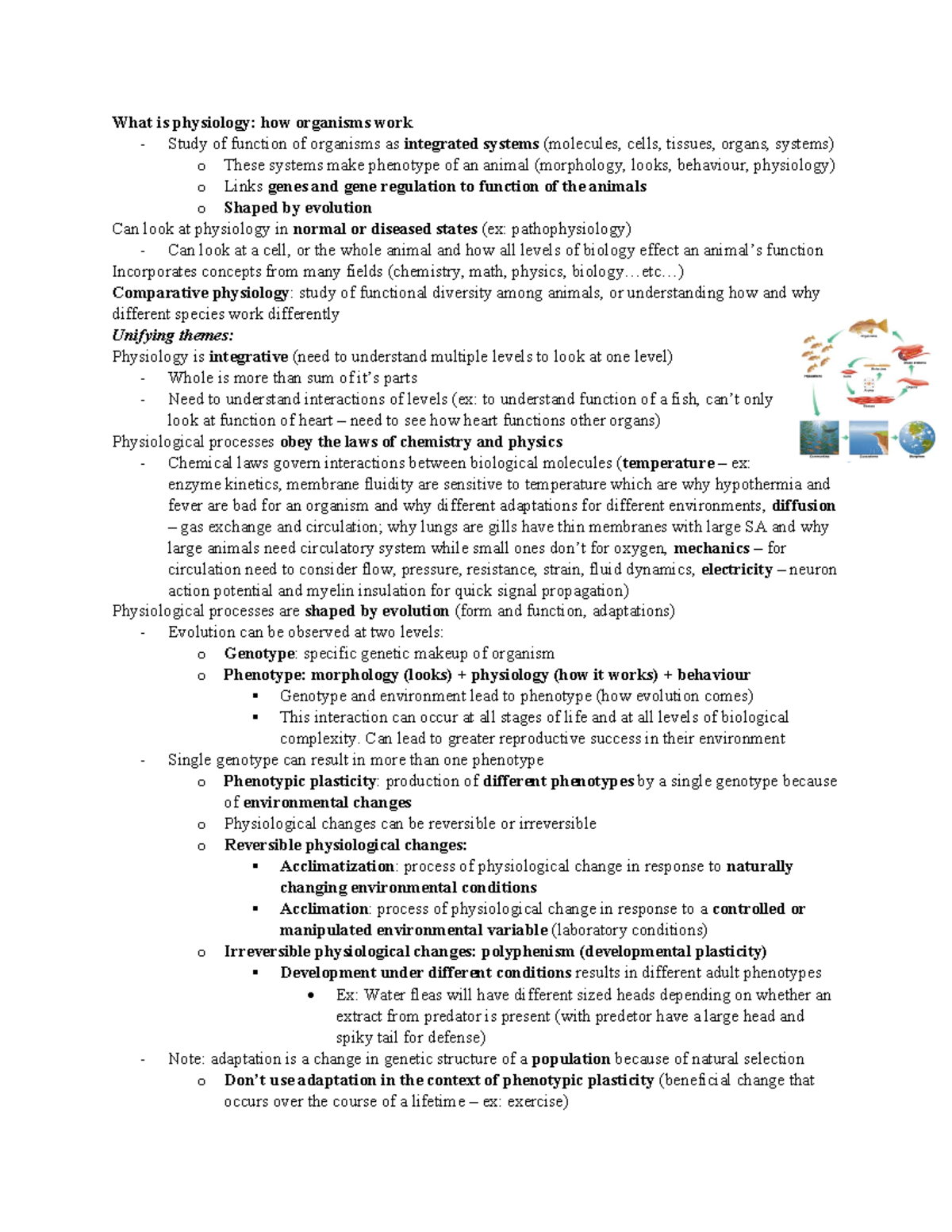 Bio3303 - Animal Physiology Midterm 1 Study Notes - Studocu