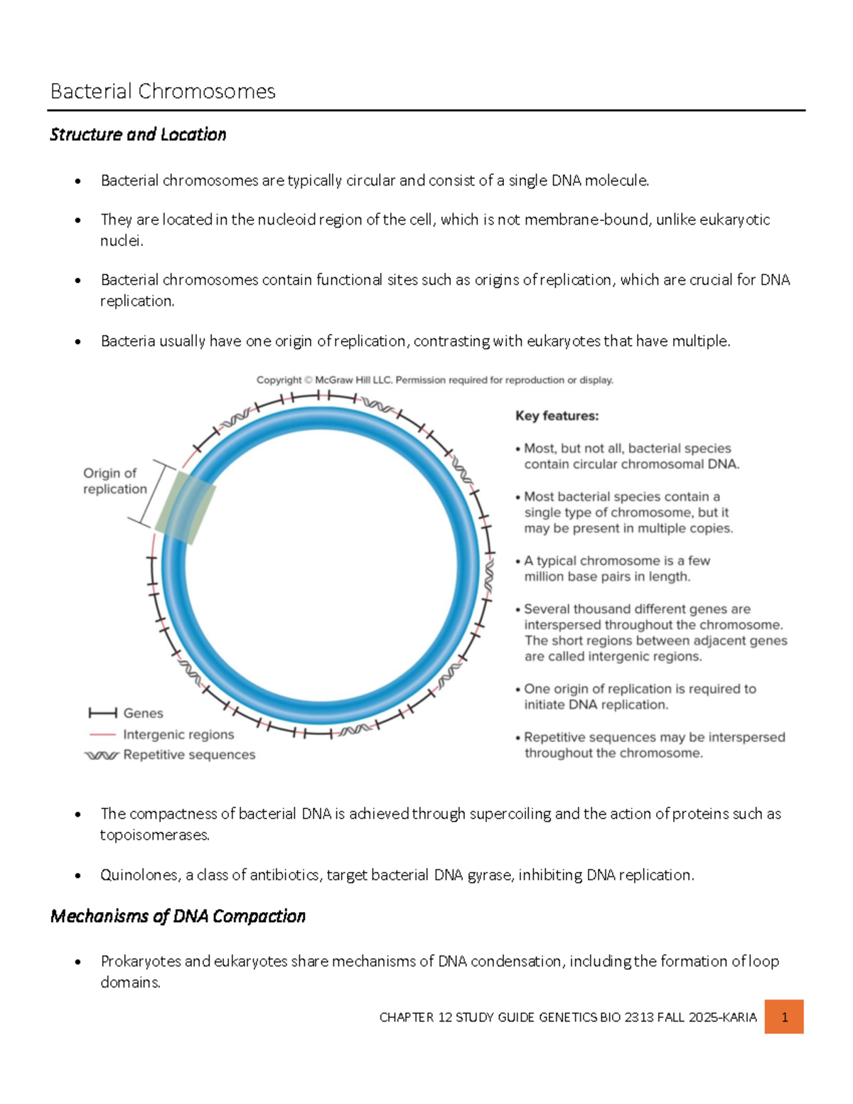 Genetics Study Guide Chapter 12 Overview Bio 2313 Fall 2025 Studocu