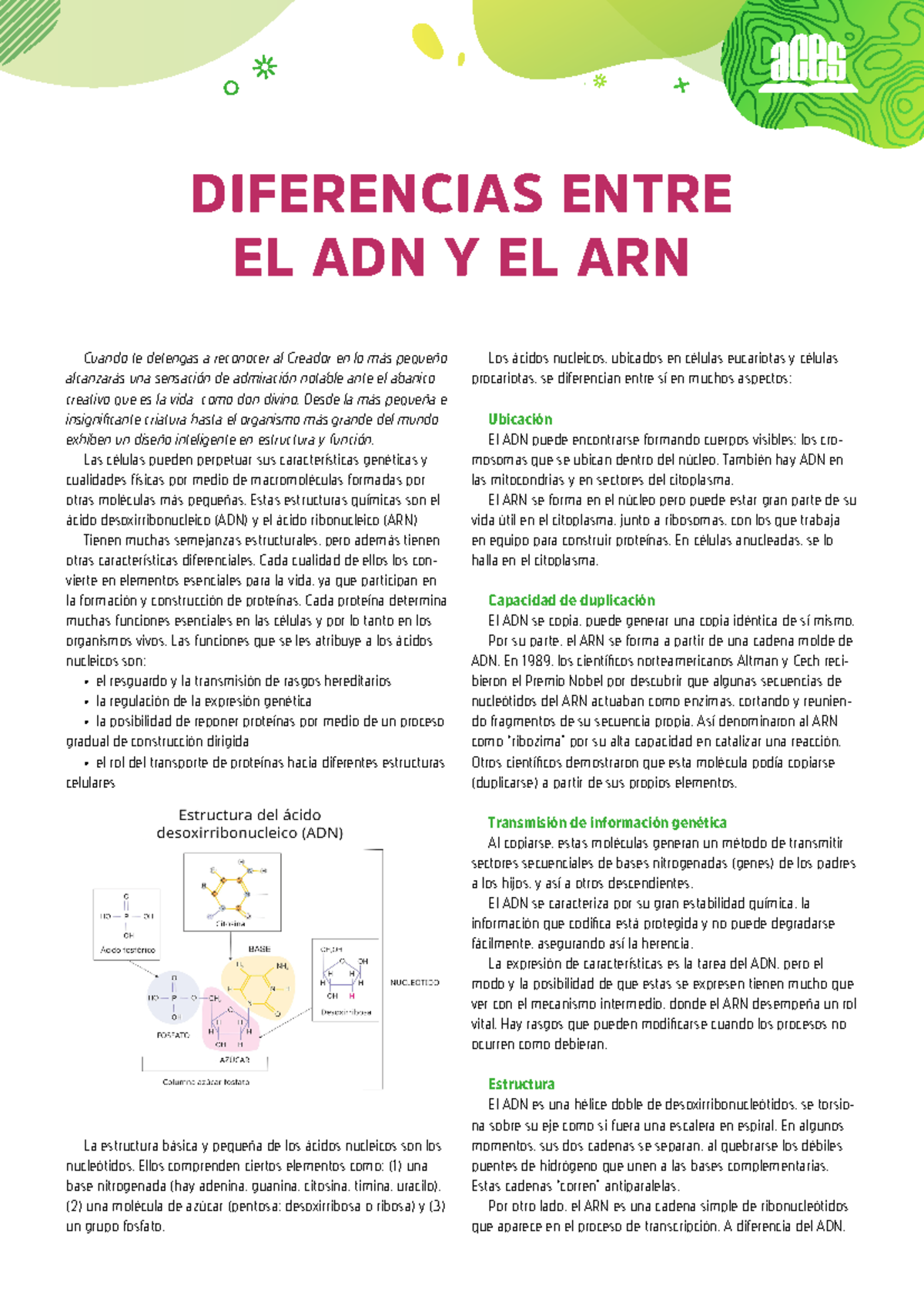 Diferencia entre el ADN y el ARN - Introducci%C3%B3n a la gen%C3%A9tica ...
