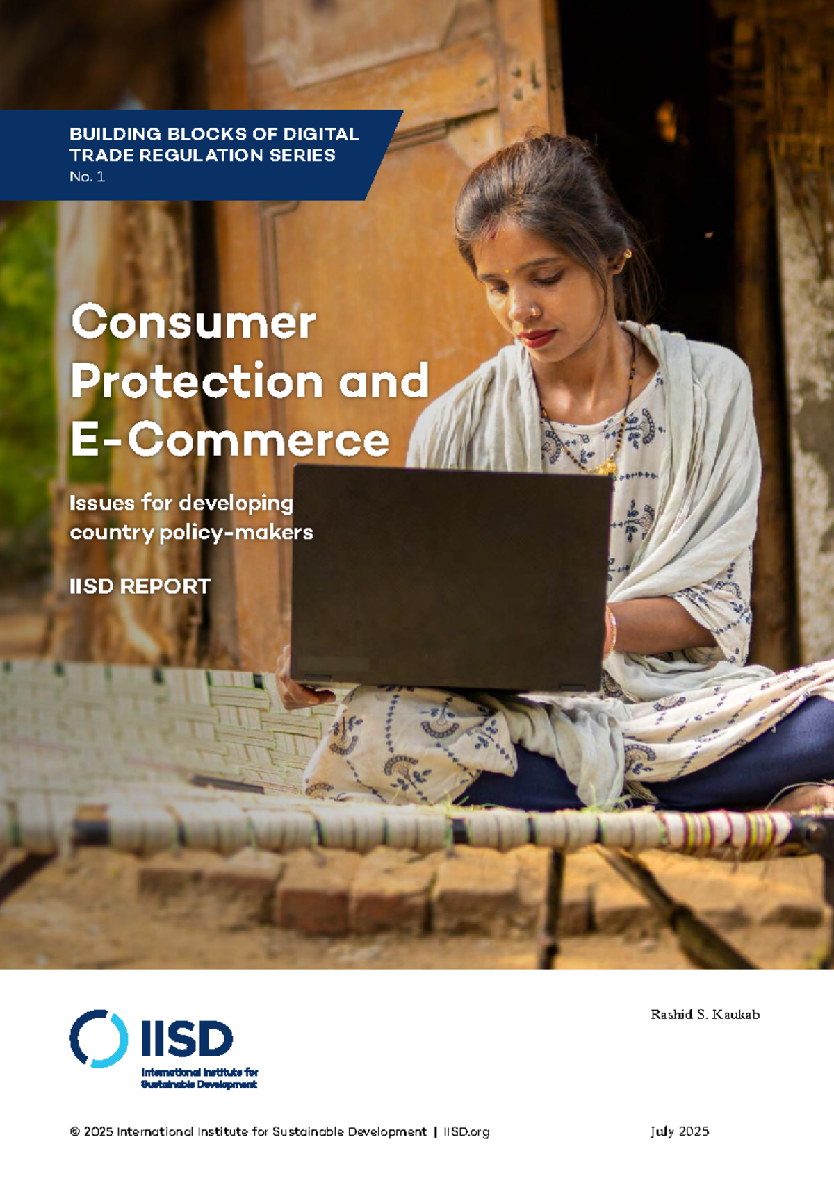 Consumer Protection in E-Commerce: Challenges for Developing Countries ...