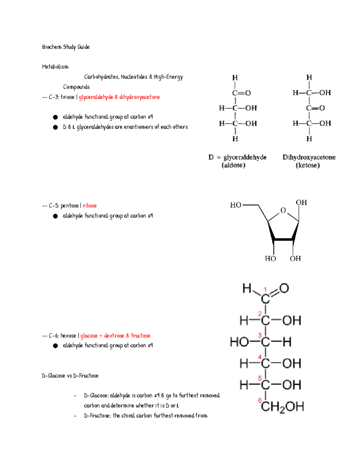 Biochem 101: Comprehensive Study Guide for Metabolism and Enzymes - Studocu