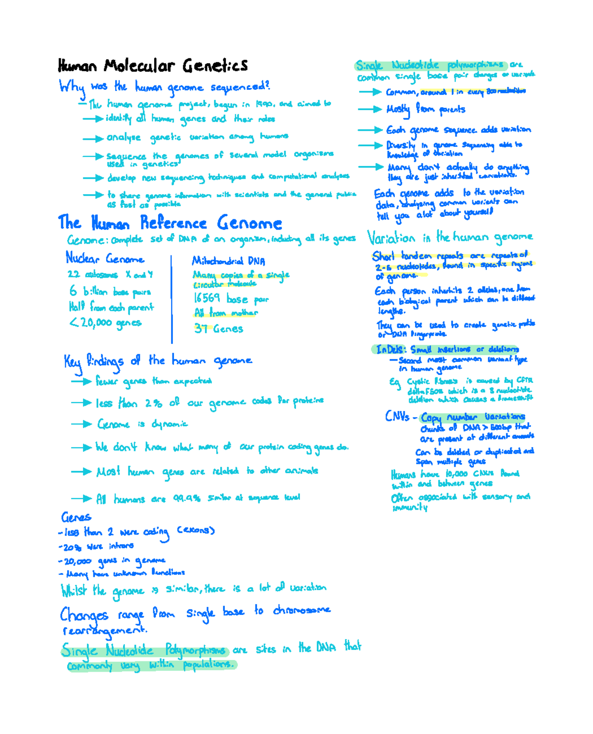 Module 3 Notes: Human Molecular Genetics and Genome Variations - Studocu
