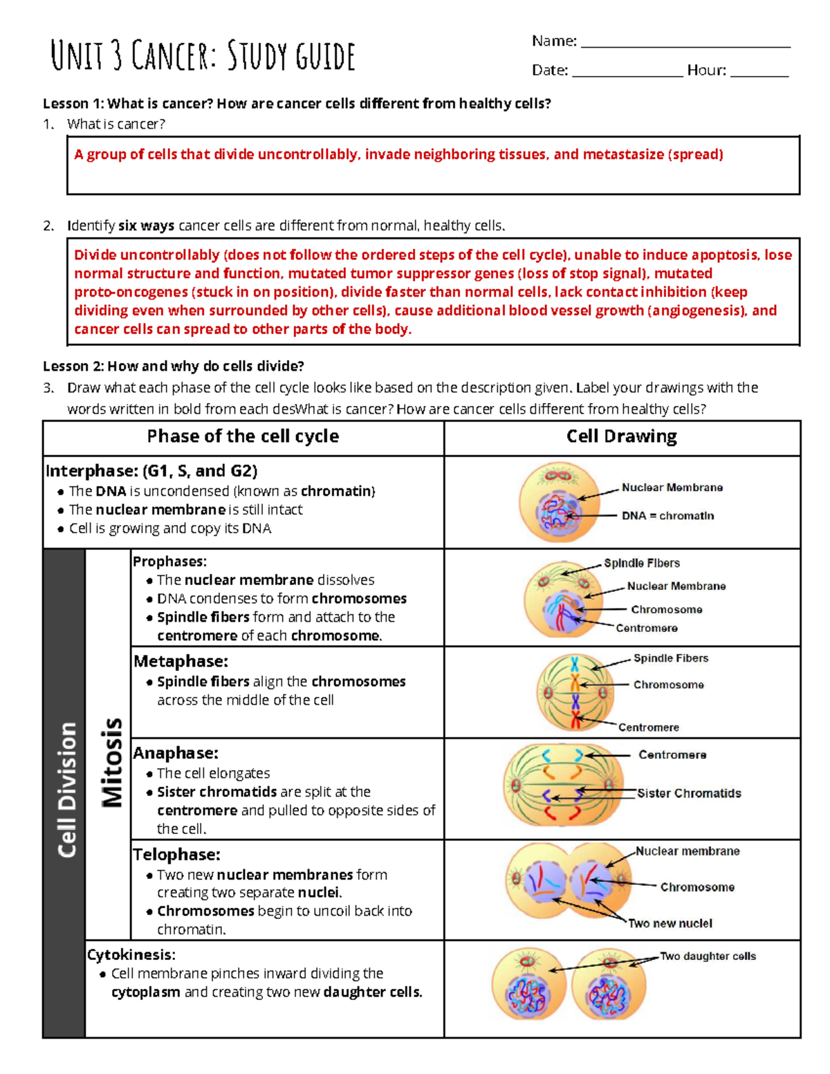 Unit 3 Cancer Study Guide & Review - Key Concepts and Phases - Studocu