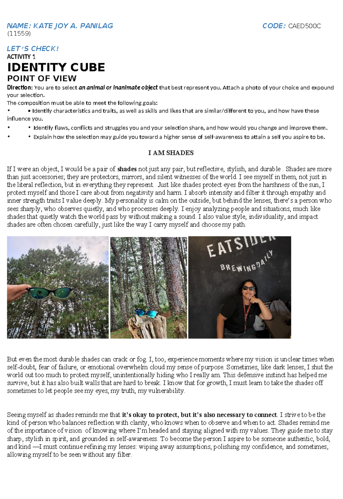 CAED500C (11559) Activity 1: Identity Cube - Self Reflection Essay ...