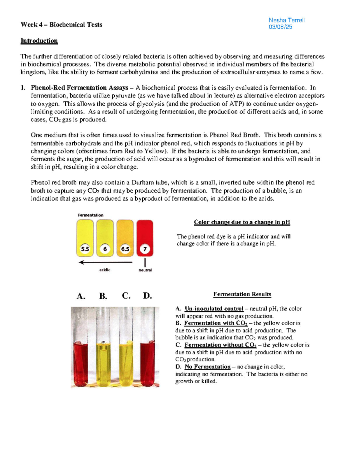 Week 4 - Biochemical Tests: Understanding Fermentation & Metabolic ...