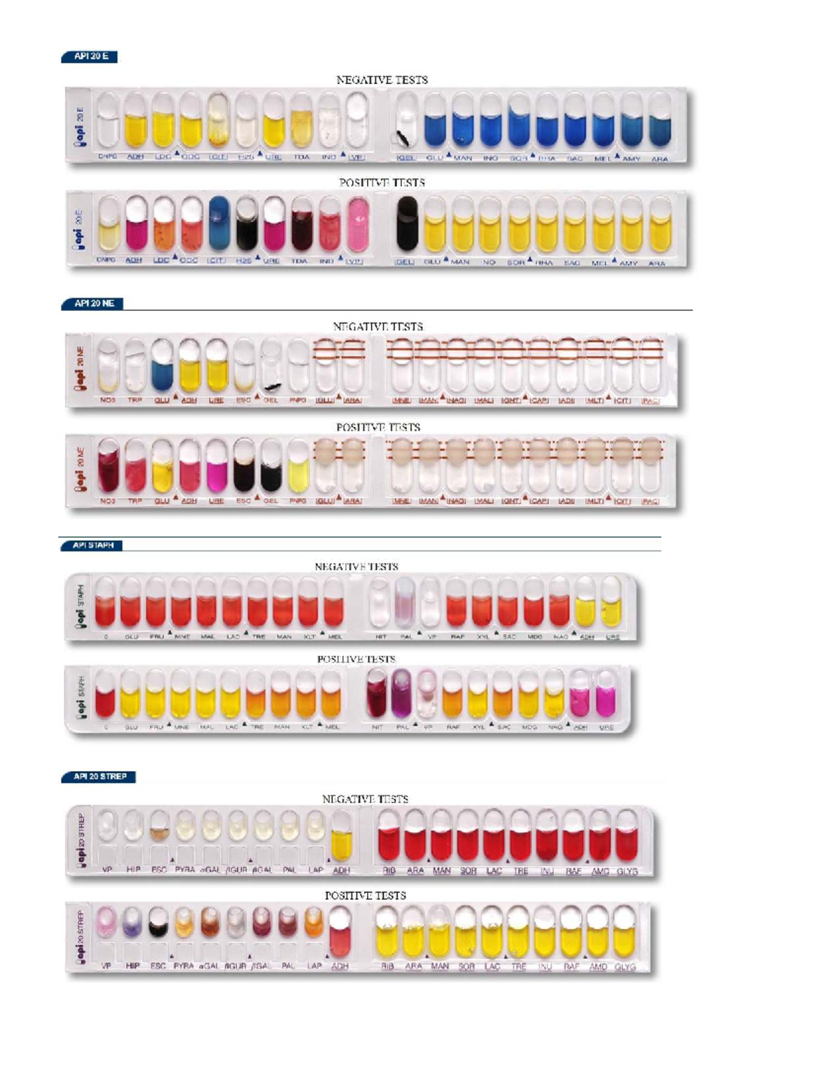 ANA NNI 381: Coloir Check API Test for Vi Sinh Analysis - Studocu