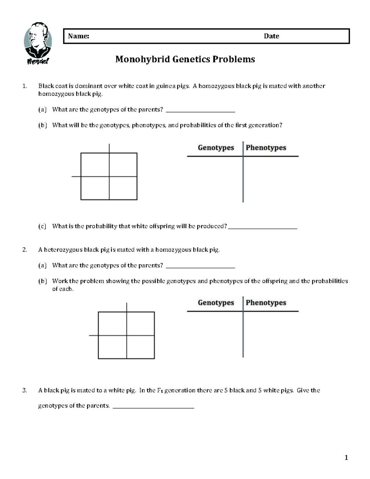 Monohybrid Genetics Problems Worksheet - Science 1 & 2 - Studocu