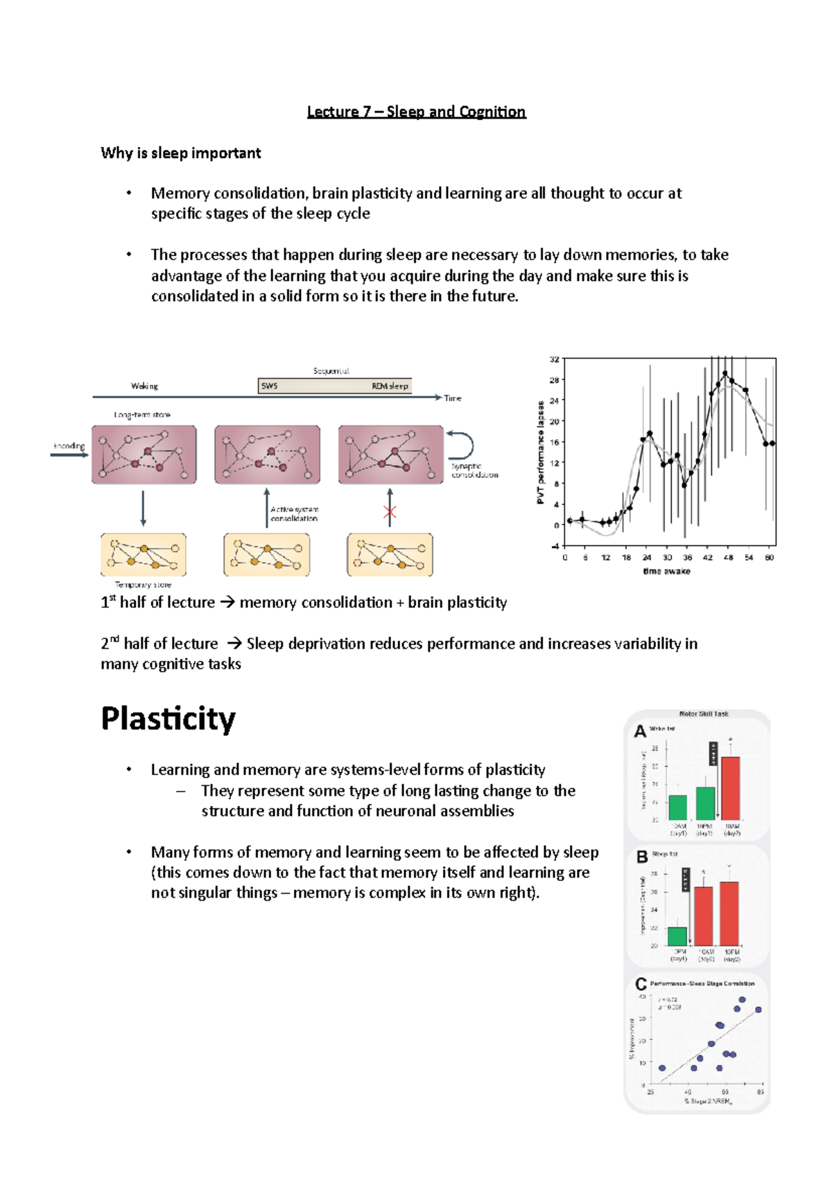 Psychology - Sleep and Cognition - Lecture 7 Notes - Studocu