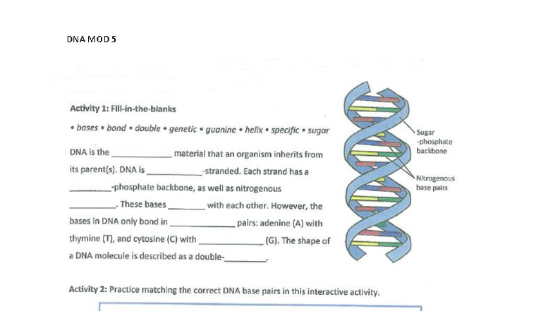 DNA Lesson 1 - Worksheets - Use the diagram to answer the questions ...