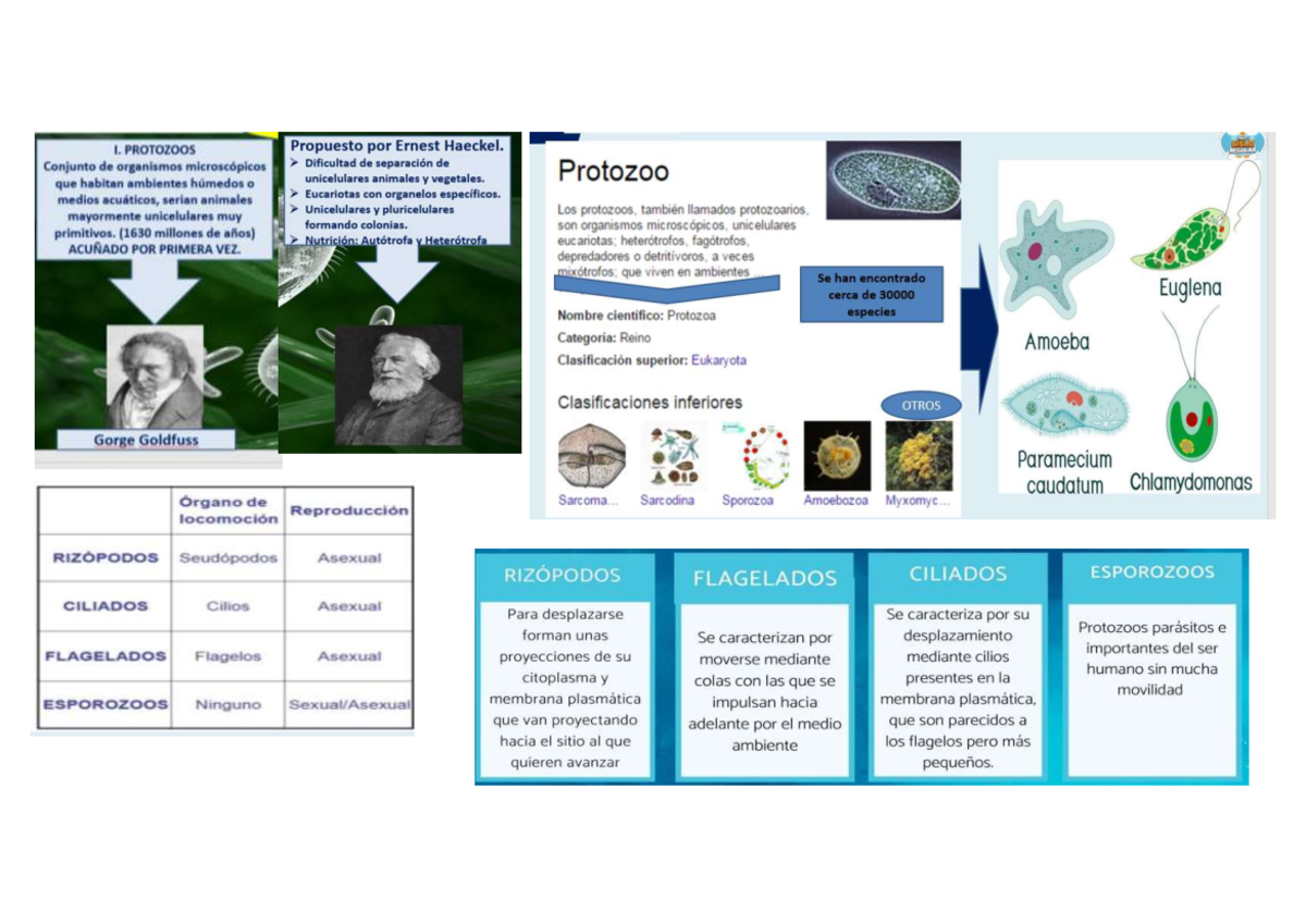 Introduction to Biology I: Key Concepts and Principles - Studocu