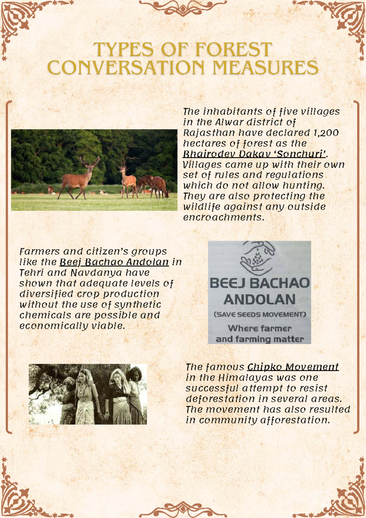 Rajasthan's Bhairodev Villages: Community Forest Protection Efforts ...