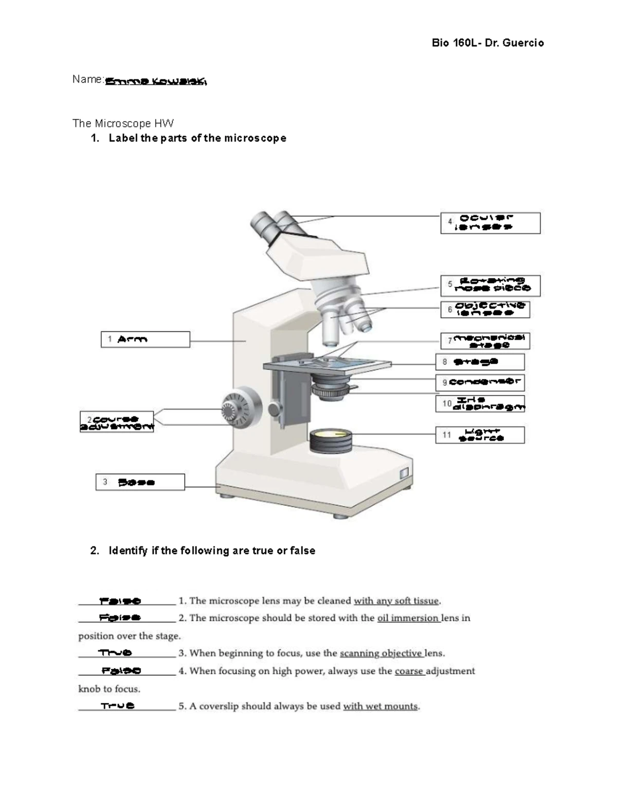 BIO Lab 7 Homework: Anaerobic & Aerobic Processes Analysis - Studocu