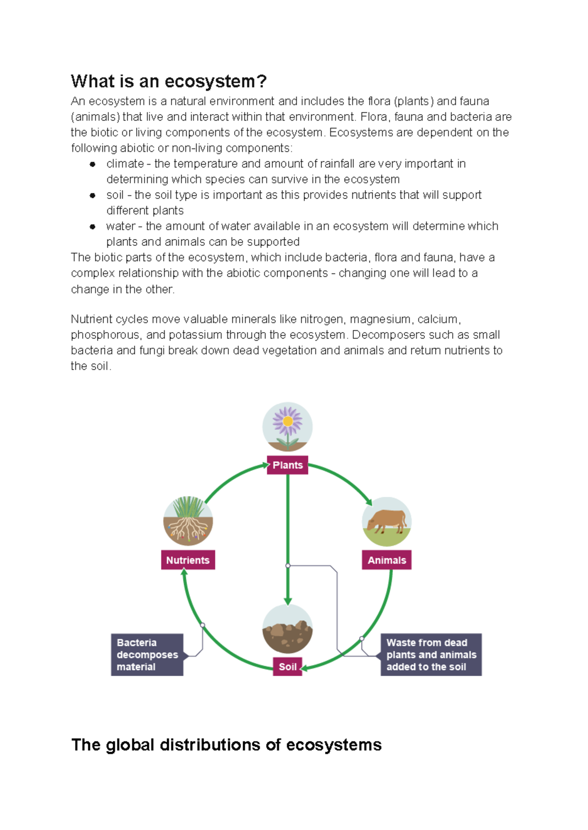 Geography 101: Understanding Ecosystems and Their Global Importance ...