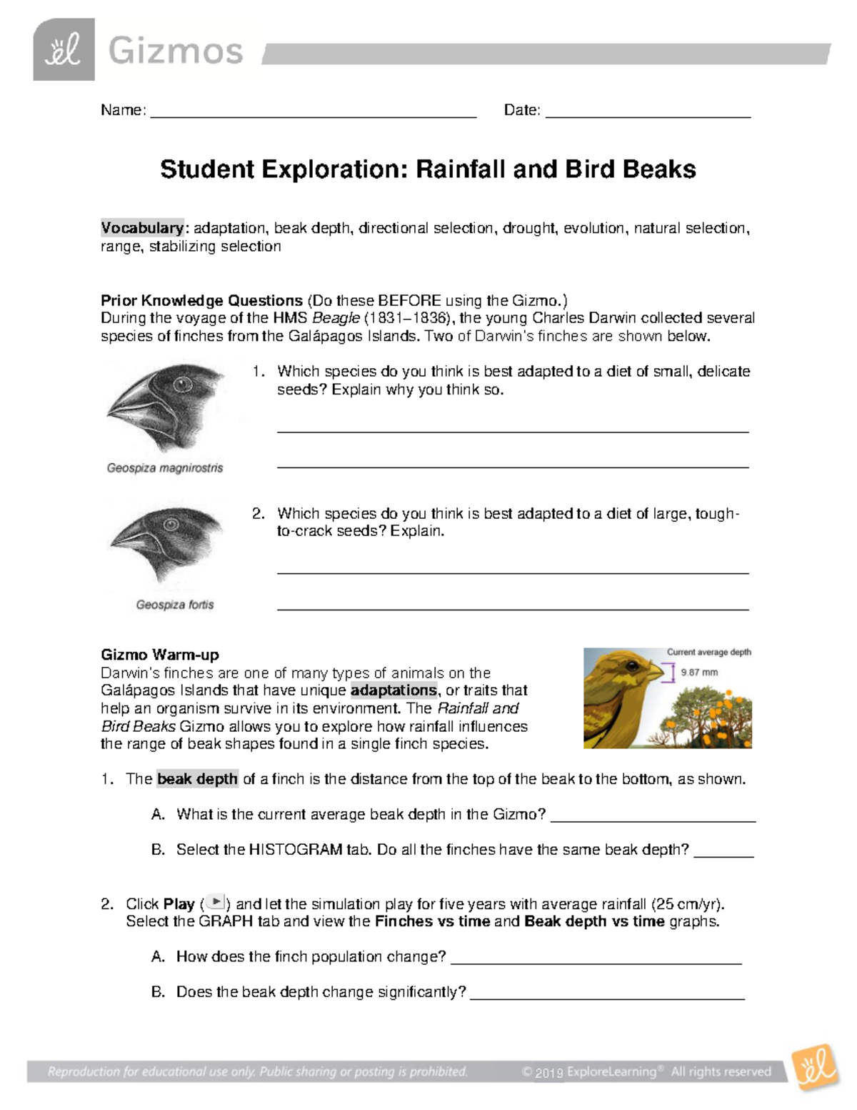 Rainfall and Bird Beaks Assignment - Name ...