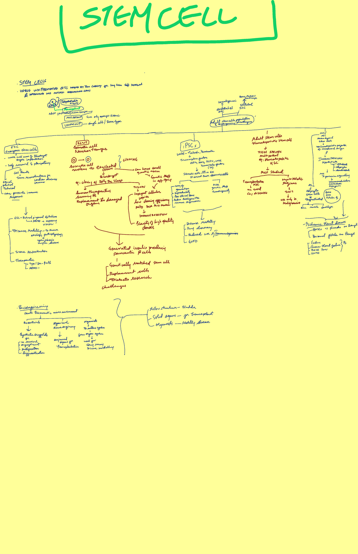 Stem Cell Biology: Definitions, Types, and Applications (BIO 101) - Studocu
