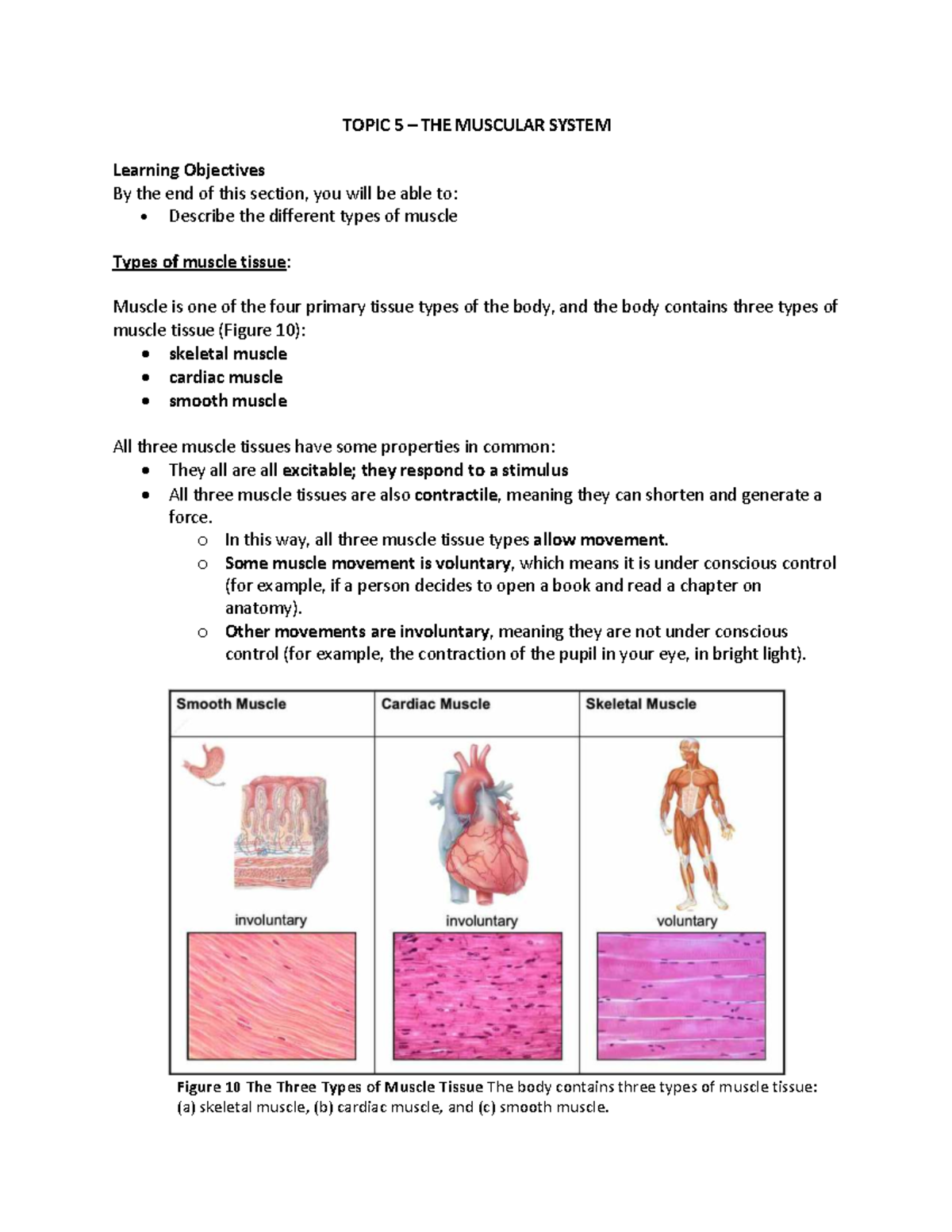 Muscle Contraction Mechanisms: A Comprehensive Overview (BIO 101) - Studocu