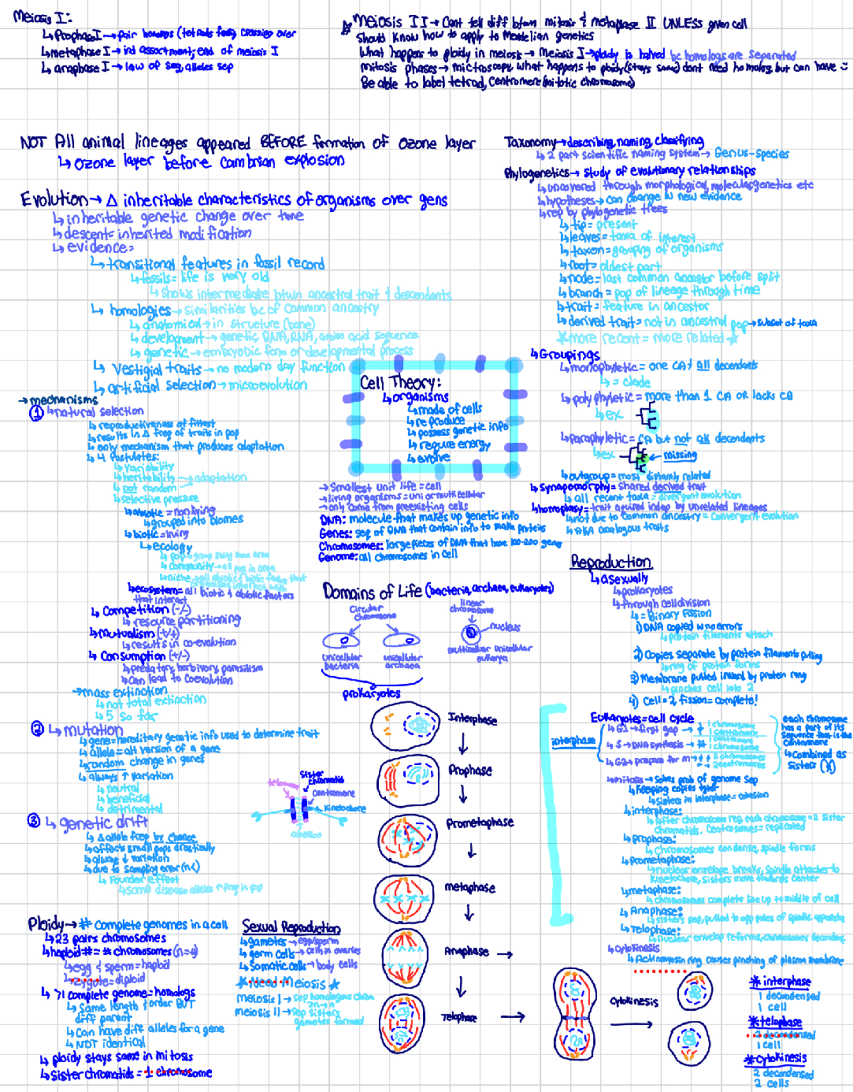 IMG 532EDB565B5E-1 - Nam Bio 141 lecture notes summarized - Meiosis I ...