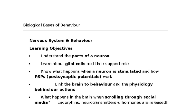 Neurons: Understanding the Nervous System and Its Functions - Studocu
