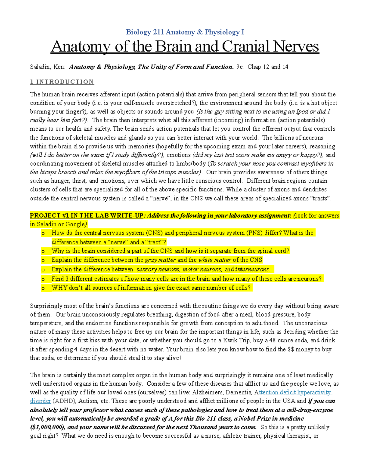 BIOL 211 Anatomy of the Brain & Cranial Nerves - Fall 2022 Lab Notes ...