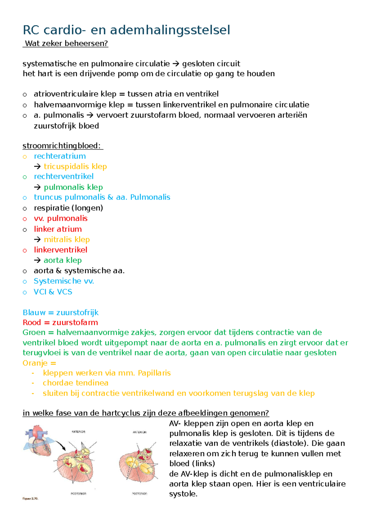 RC Cardio: Systematische en Pulmonaire Circulatie Beheersen - Studocu
