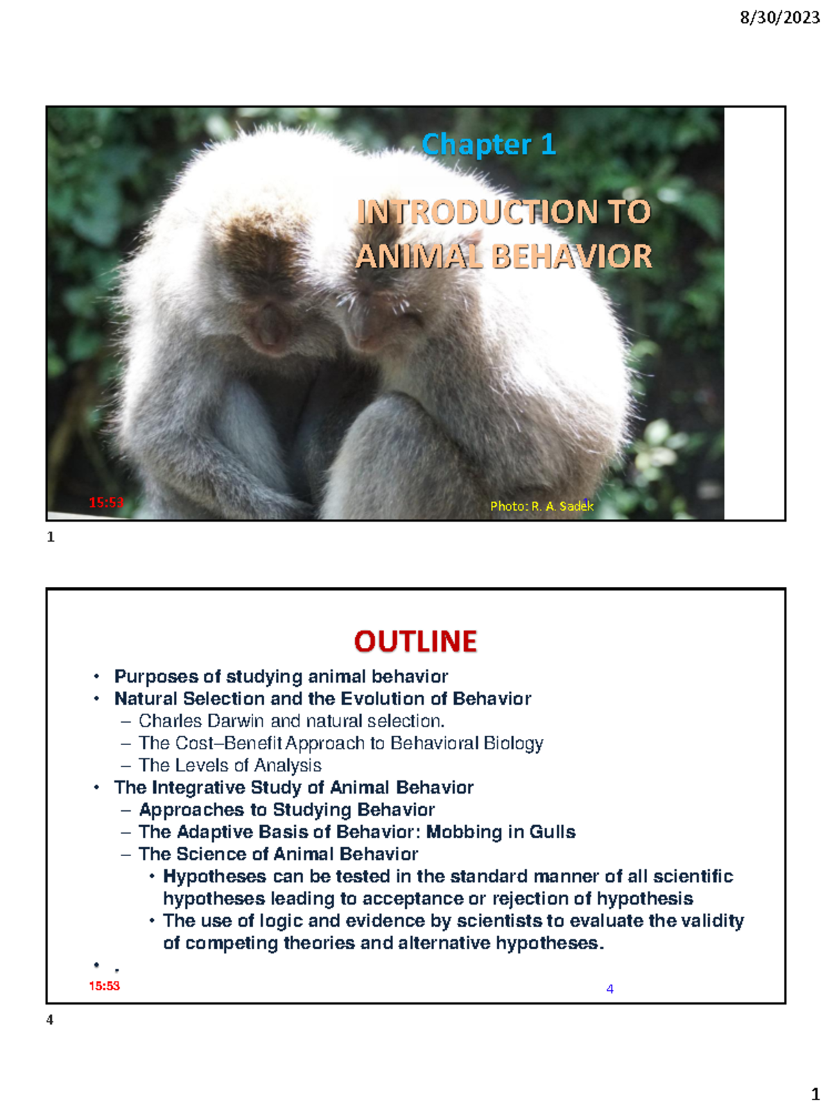 AB01 Introduction - klkkkkkkkkk - INTRODUCTION TO ANIMAL BEHAVIOR ...