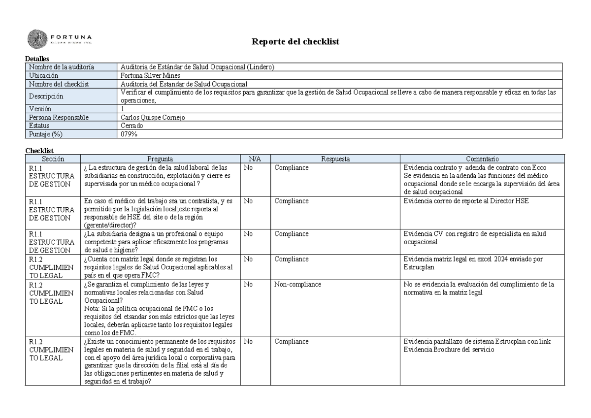 Informe de Checklist de Auditoría (ESP) - Salud Ocupacional - Document Preview