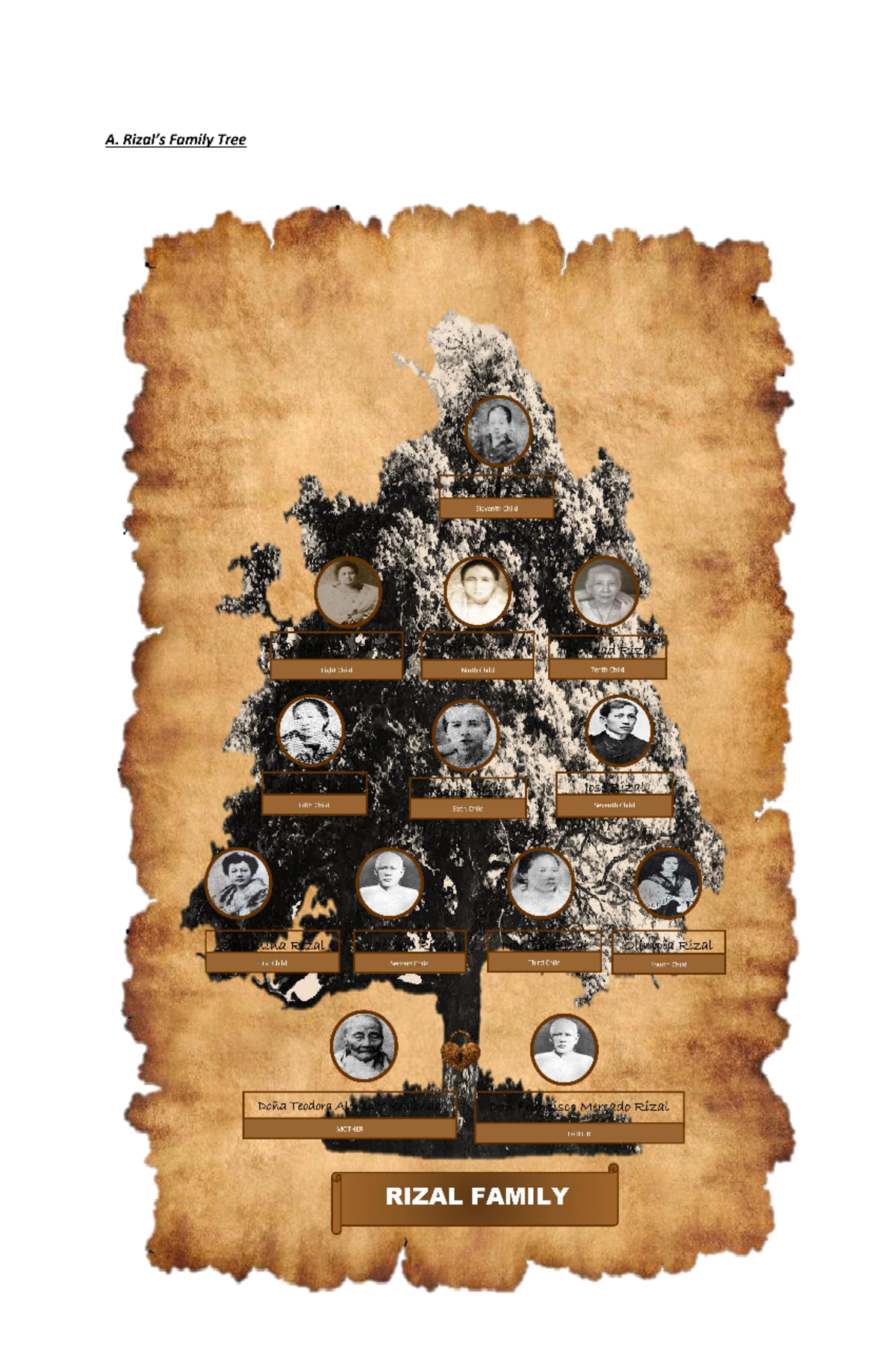 Jose Rizal Family Tree And Ancestry