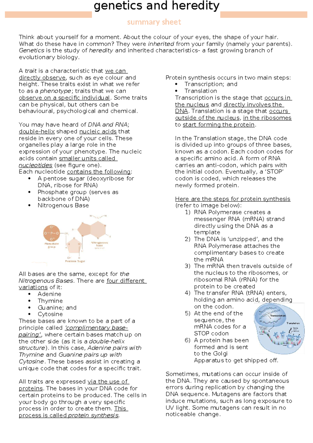 Genetics and Heredity: Key Concepts Summary Sheet - Studocu