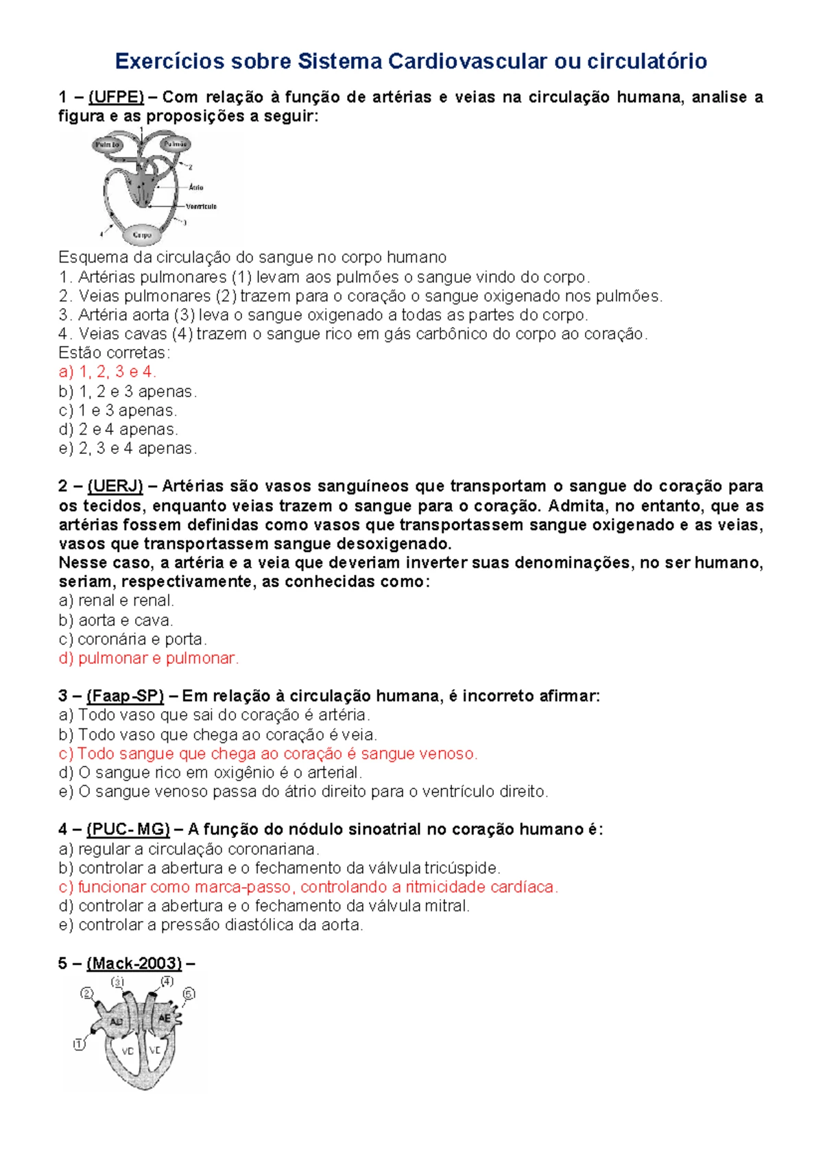 Exercícios sobre Sistema Cardiovascular ou circulatório - Exercícios ...