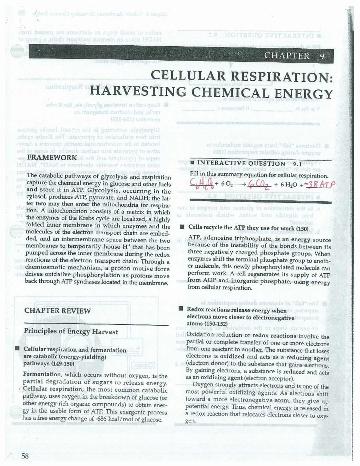 Chapter 9: Cellular Respiration and Energy Harvesting (Biology 101 ...