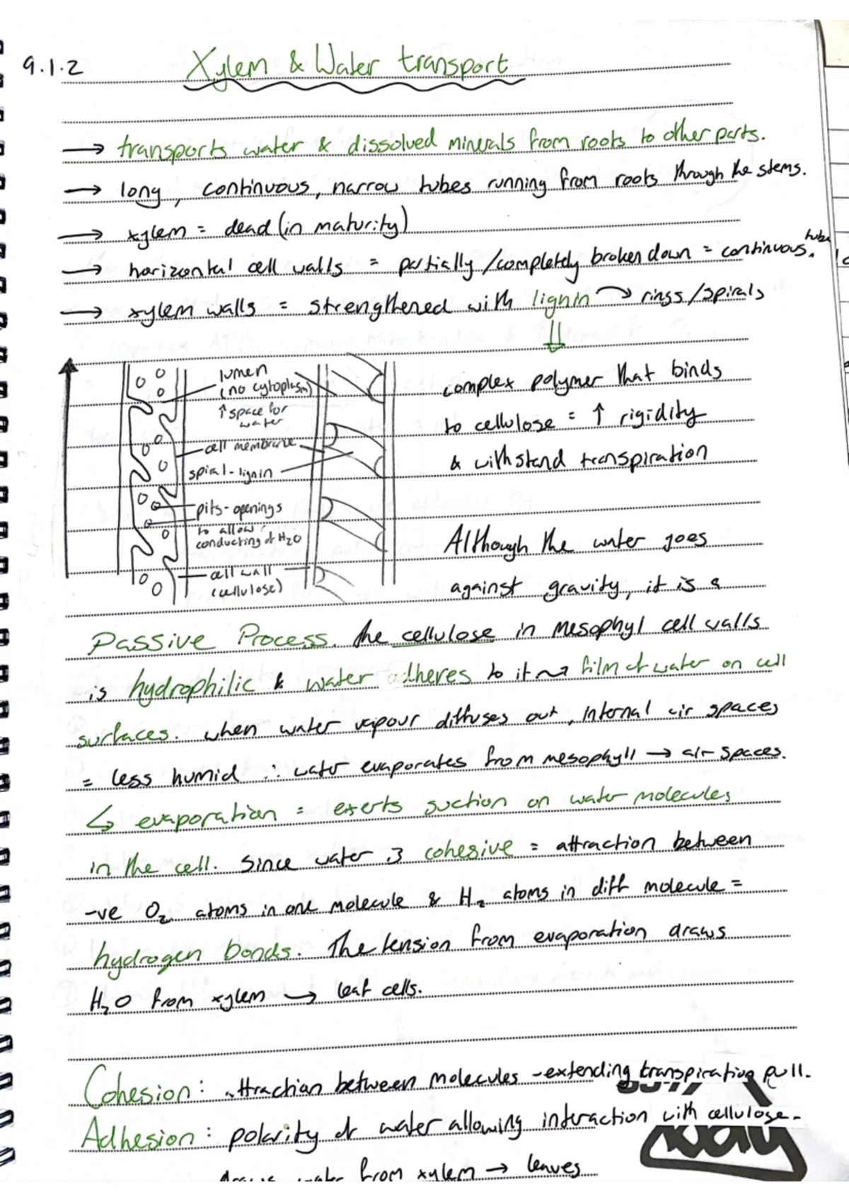 MAY 2019 MATSEC Past Paper - Exam Review Notes - Studocu