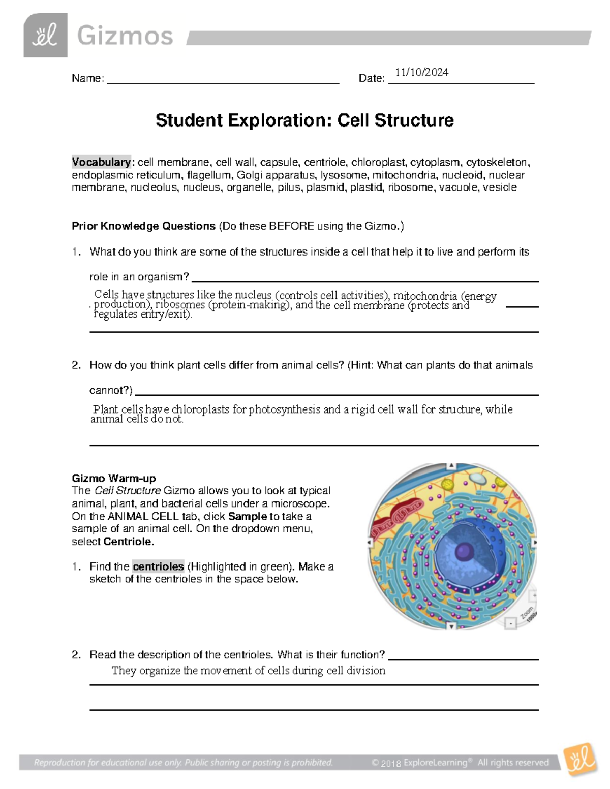Kami Export - Cell Structure Exploration Activity SE - Studocu