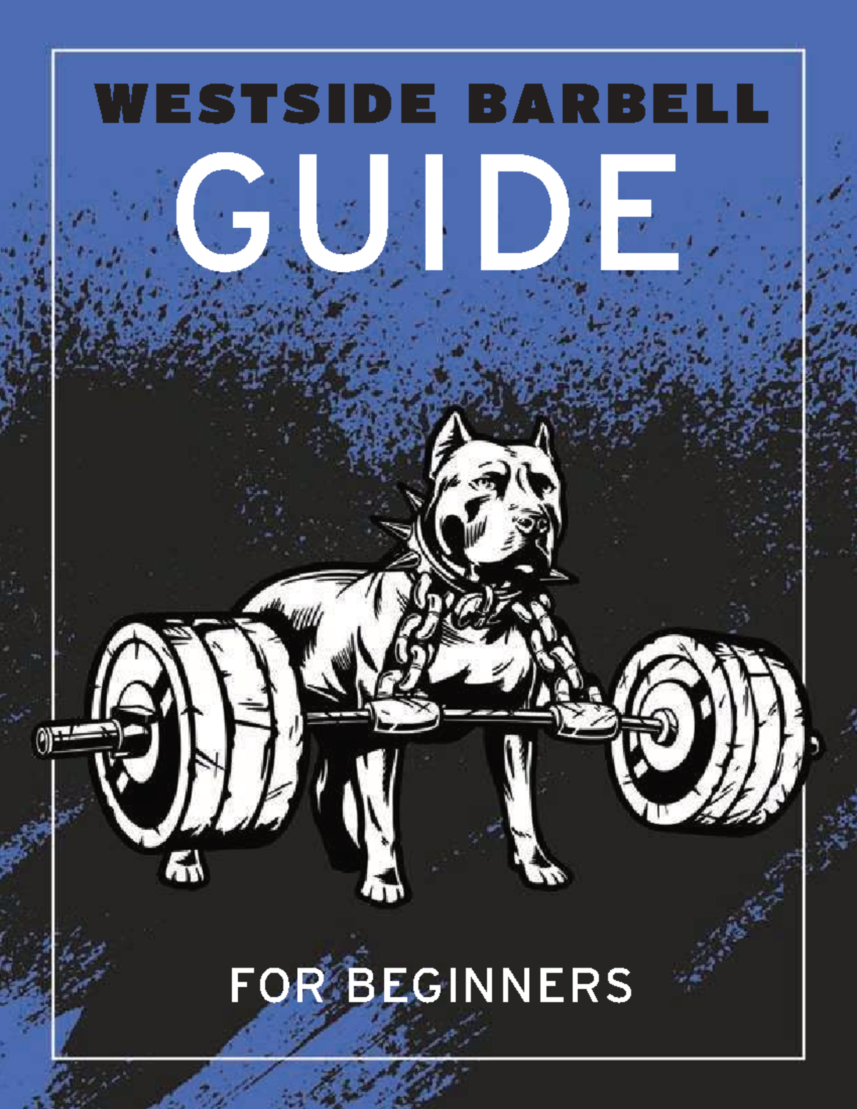 WSBB Beginner's Guide: Deadlift Setup & Training Techniques - Studocu