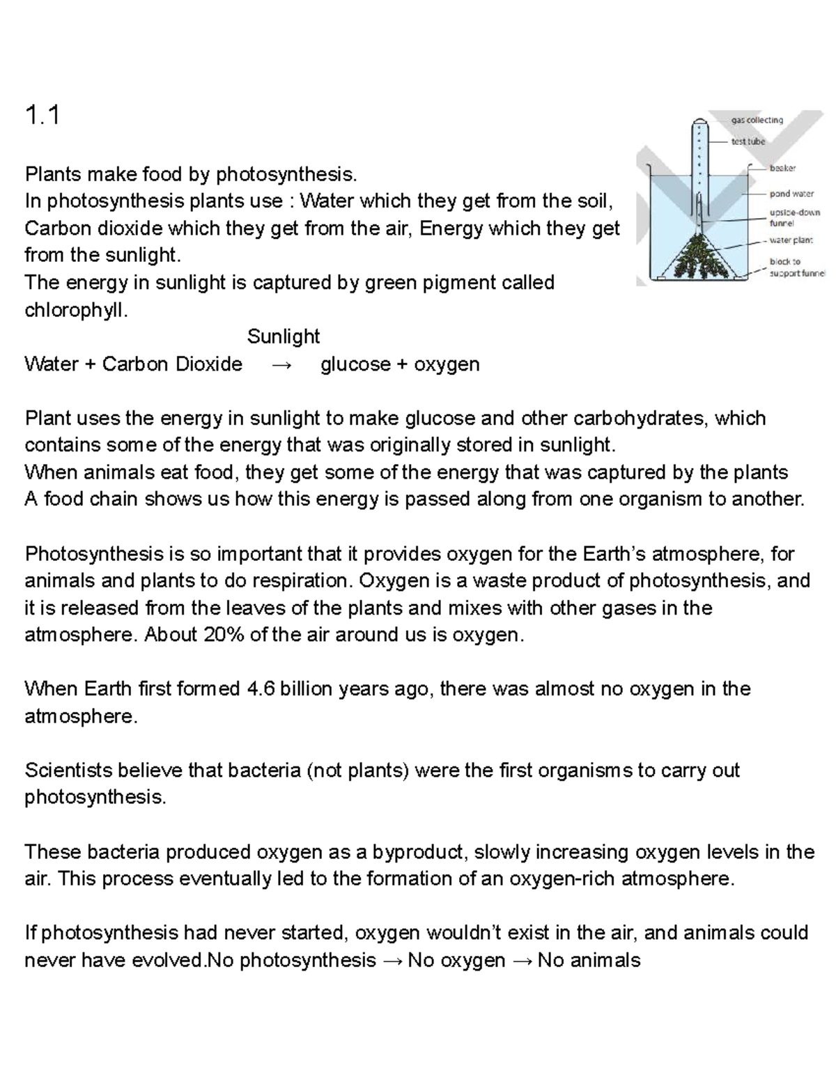 Biology - Photosynthesis and Plant Growth Notes (BIO101) - Studocu