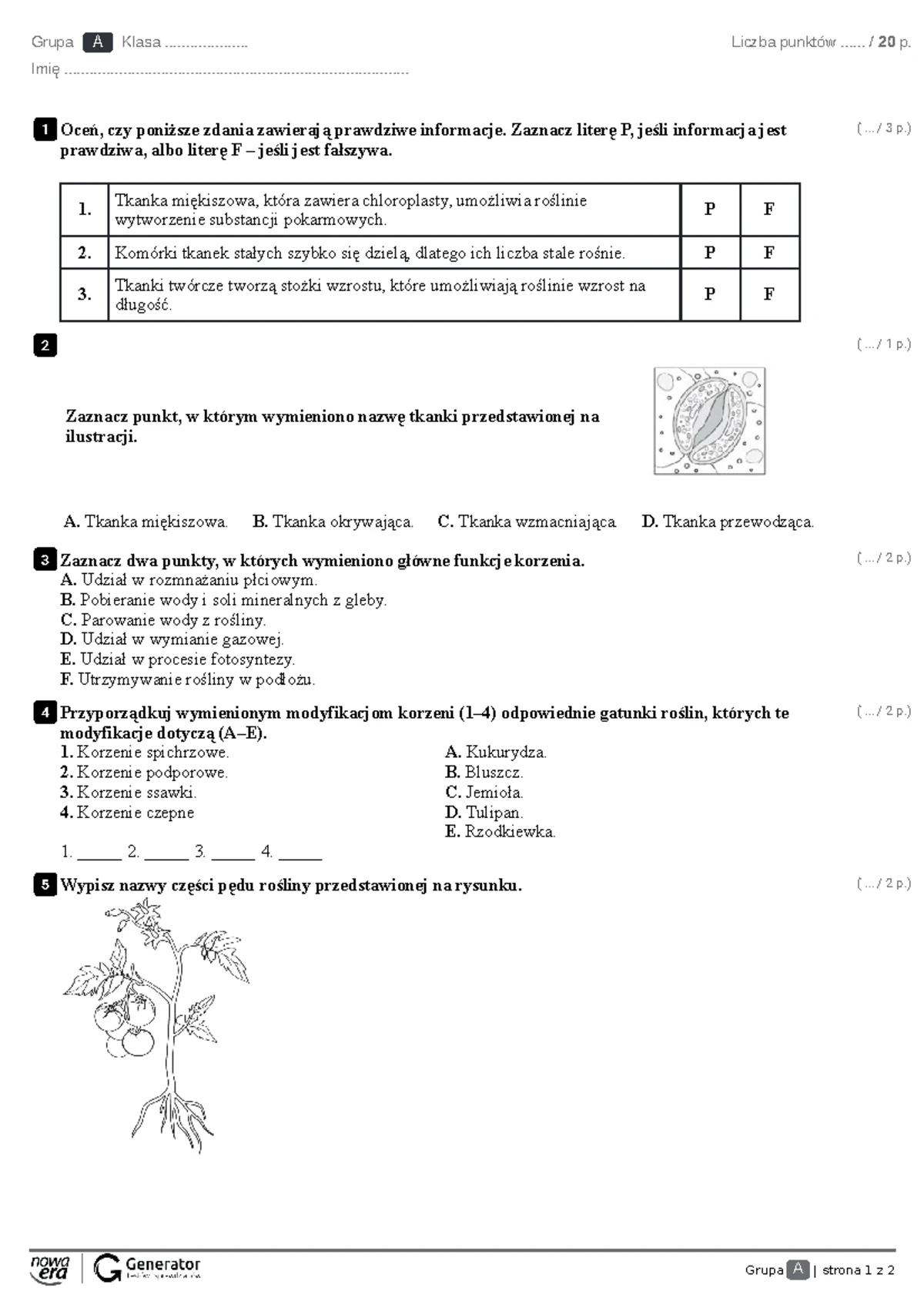 Sprawdzian Z Biologii Klasa 5 Dział 1 Nowa Era www.studocu.com