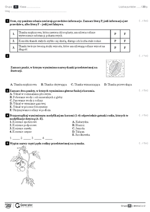 B Akterie I Wirusy - BAKTERIE I WIRUSY ŚRODOWISKO ŻYCIA BAKTERII