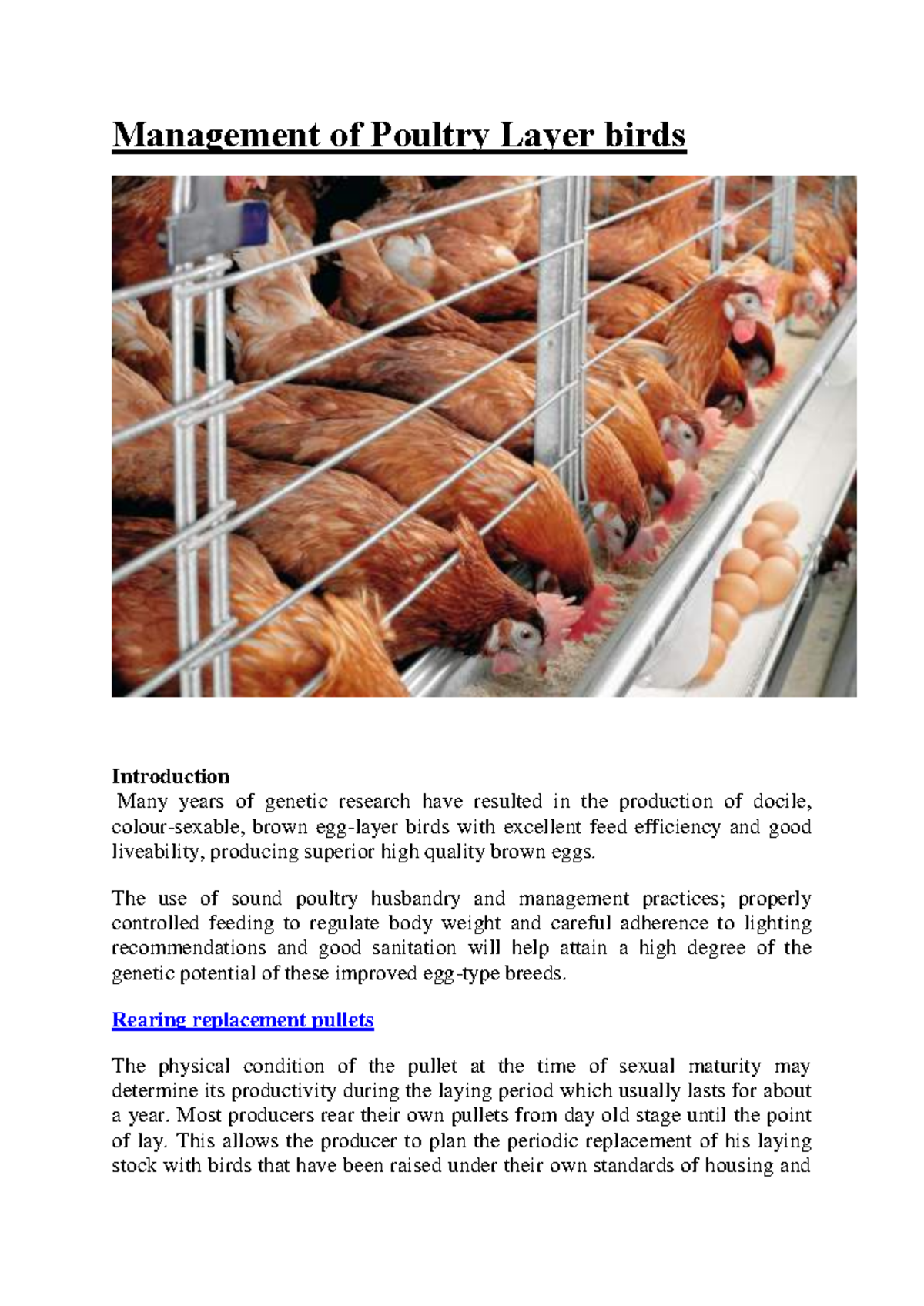 Chicken Layer Management Manual: Best Practices for Poultry Care - Studocu