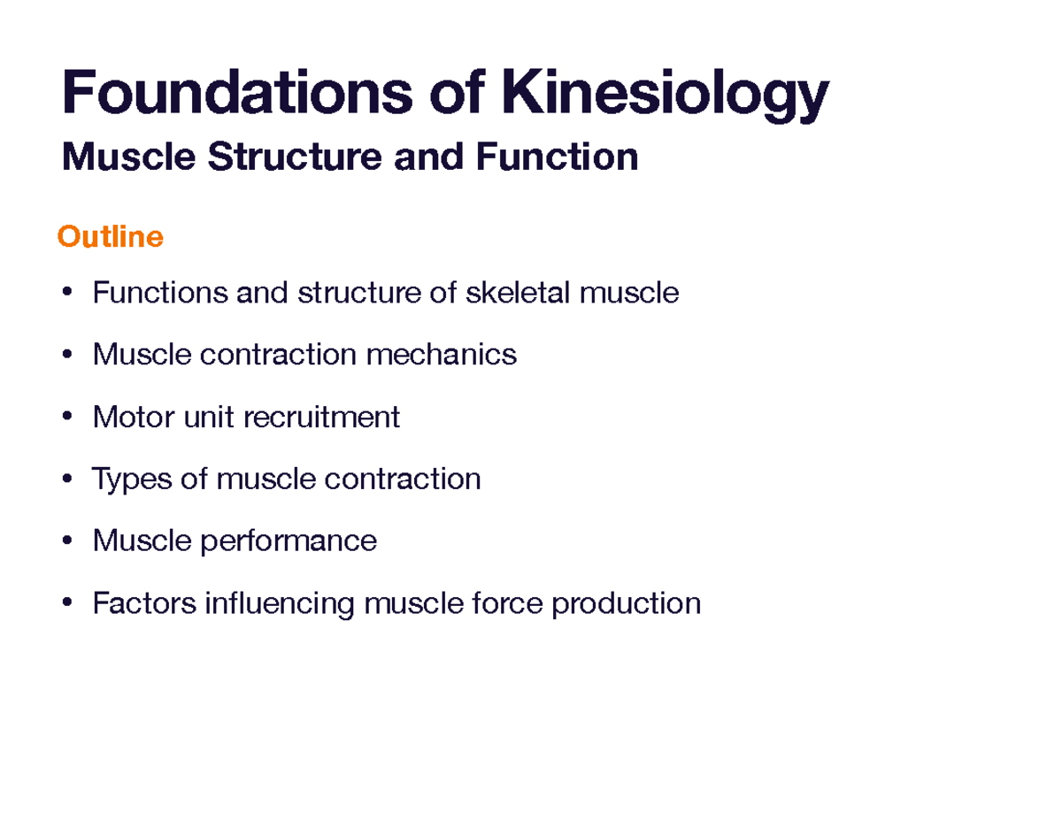 Muscle Structure and Function - KIN 101 Overview and Key Concepts - Studocu