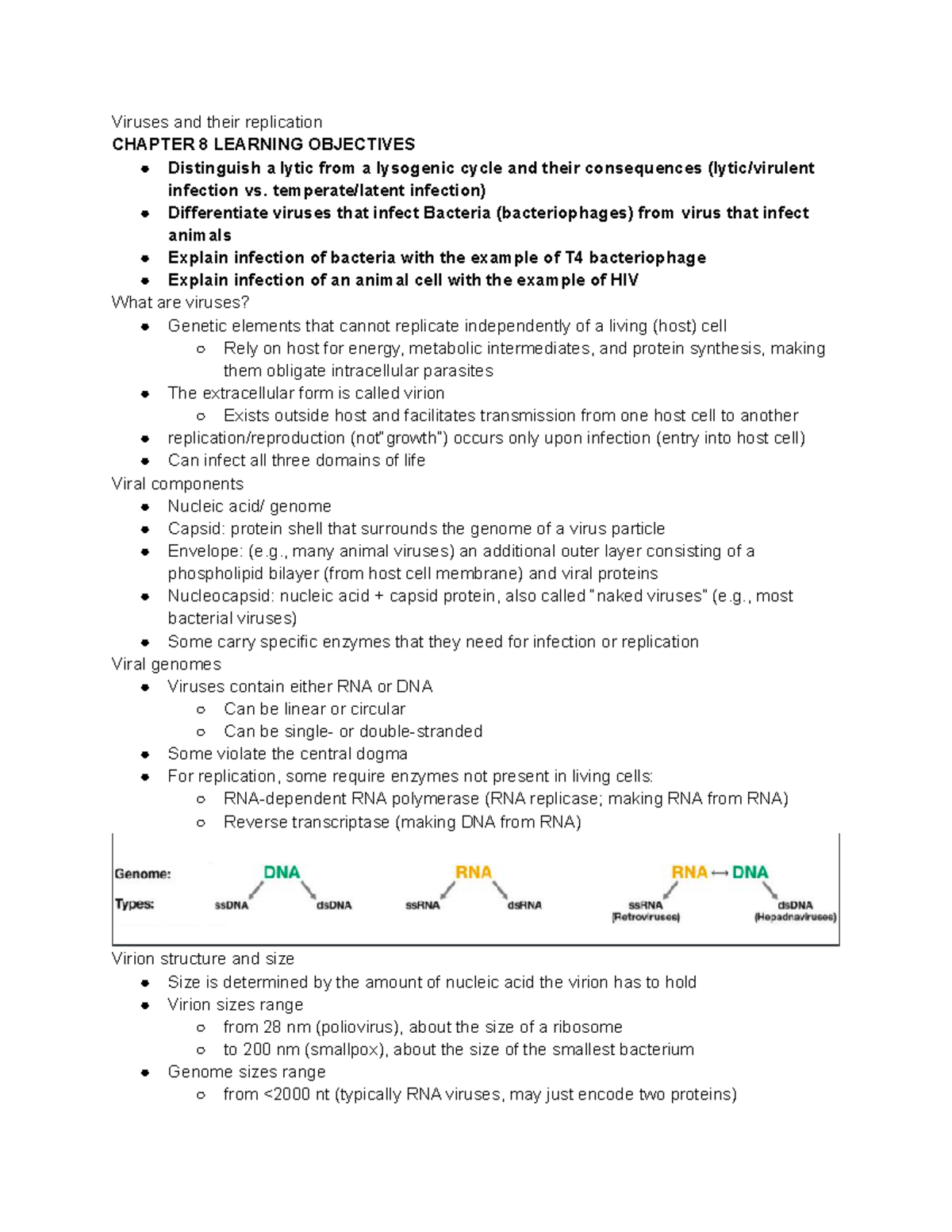Virus Replication and Structure: Key Insights from Chapter 8 - Studocu