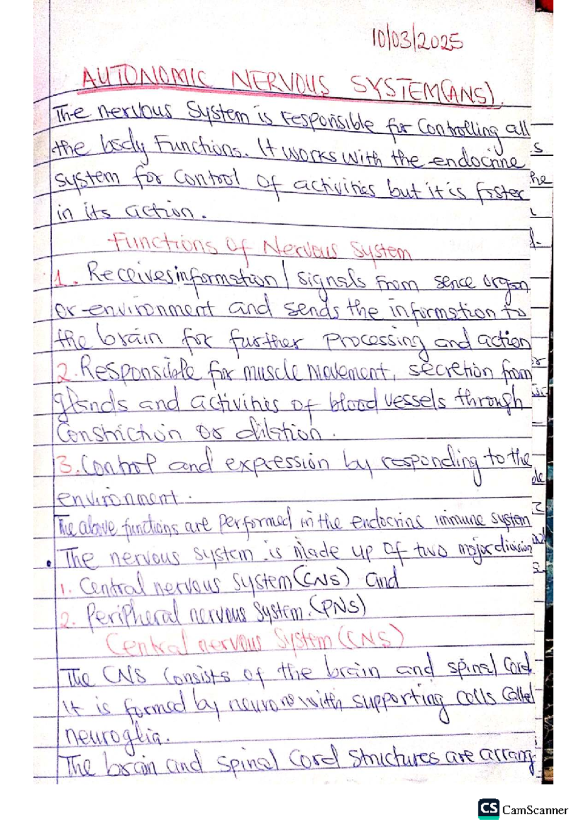 ANS 101: Overview of the Autonomic Nervous System Functions - Studocu