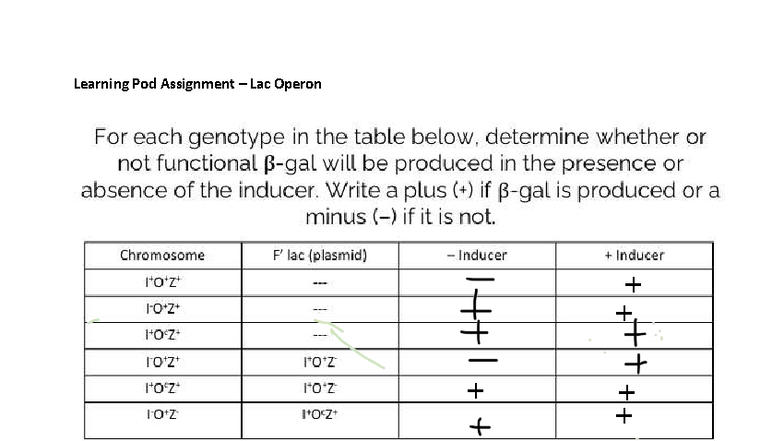 Learning Pod 6b - Lac Operon - Learning Pod Assignment – Lac Operon Pod ...