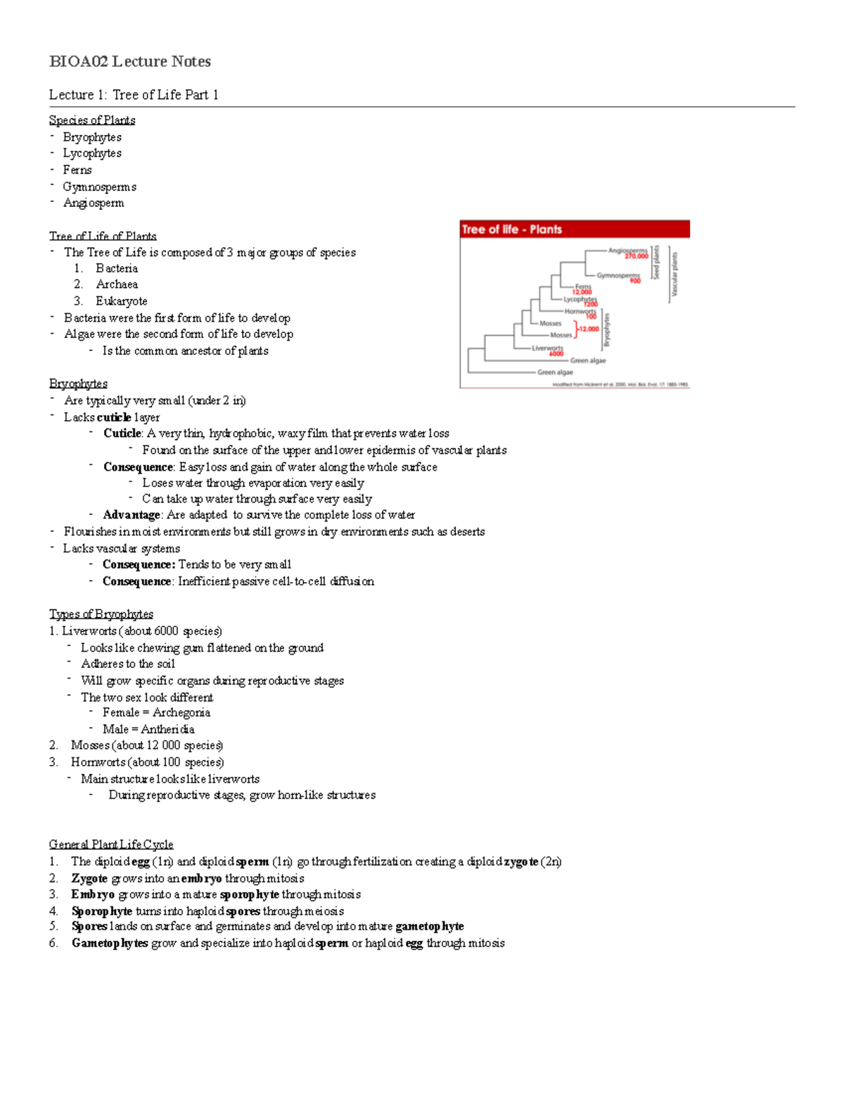 BIOA02 Lecture Notes: Plant Form and Function Overview - Studocu