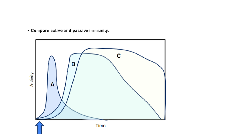 Comparing Active vs Passive Immunity: Exam Study Guide BIO103-5 - Studocu