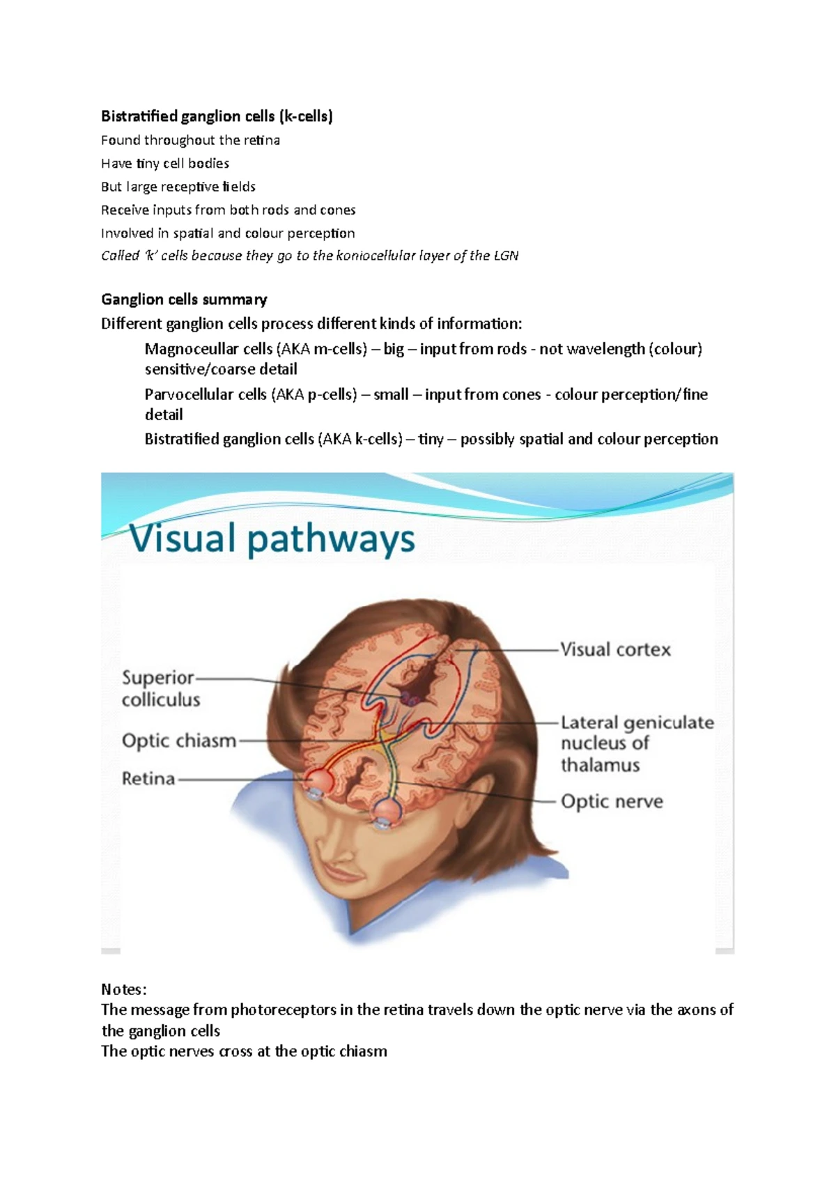 Vision - Lecture notes 1-10 - Vision 1 Our senses are our gateway to ...