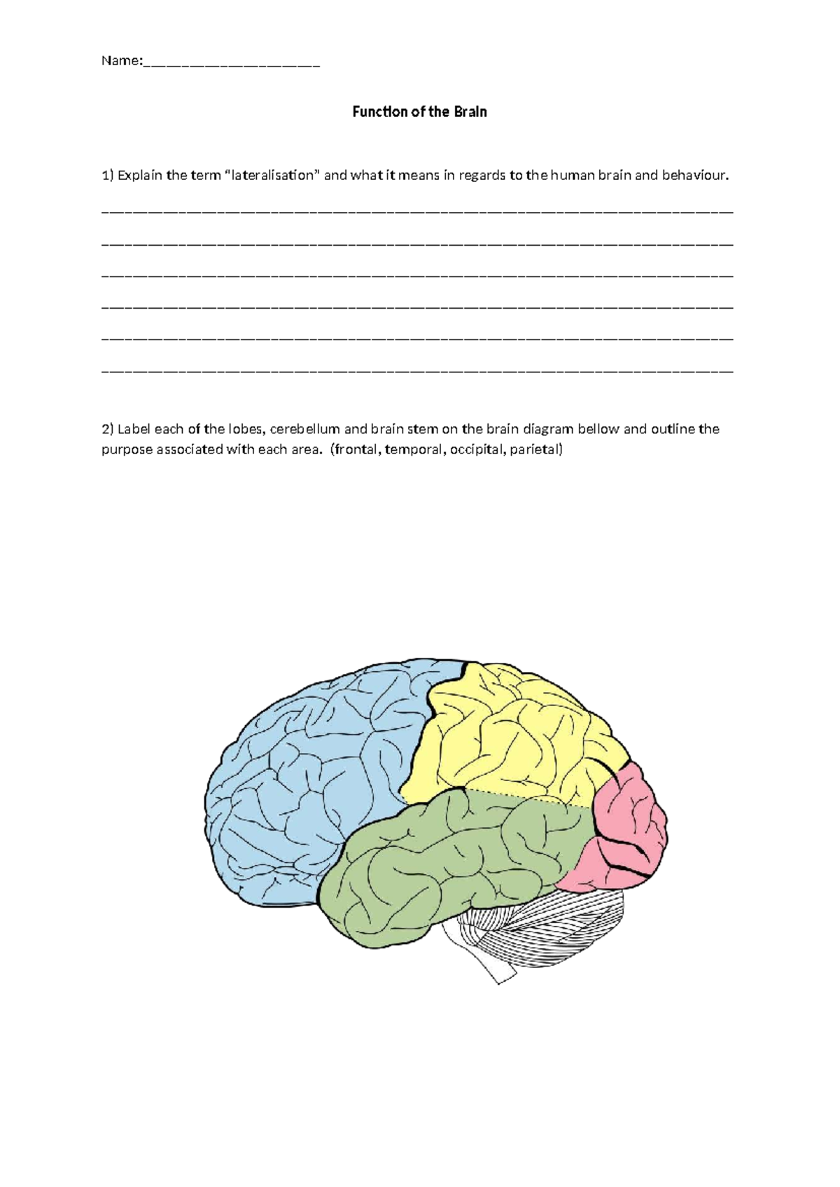 Brain Structure Overview Worksheet: Functions of Brain Regions ...