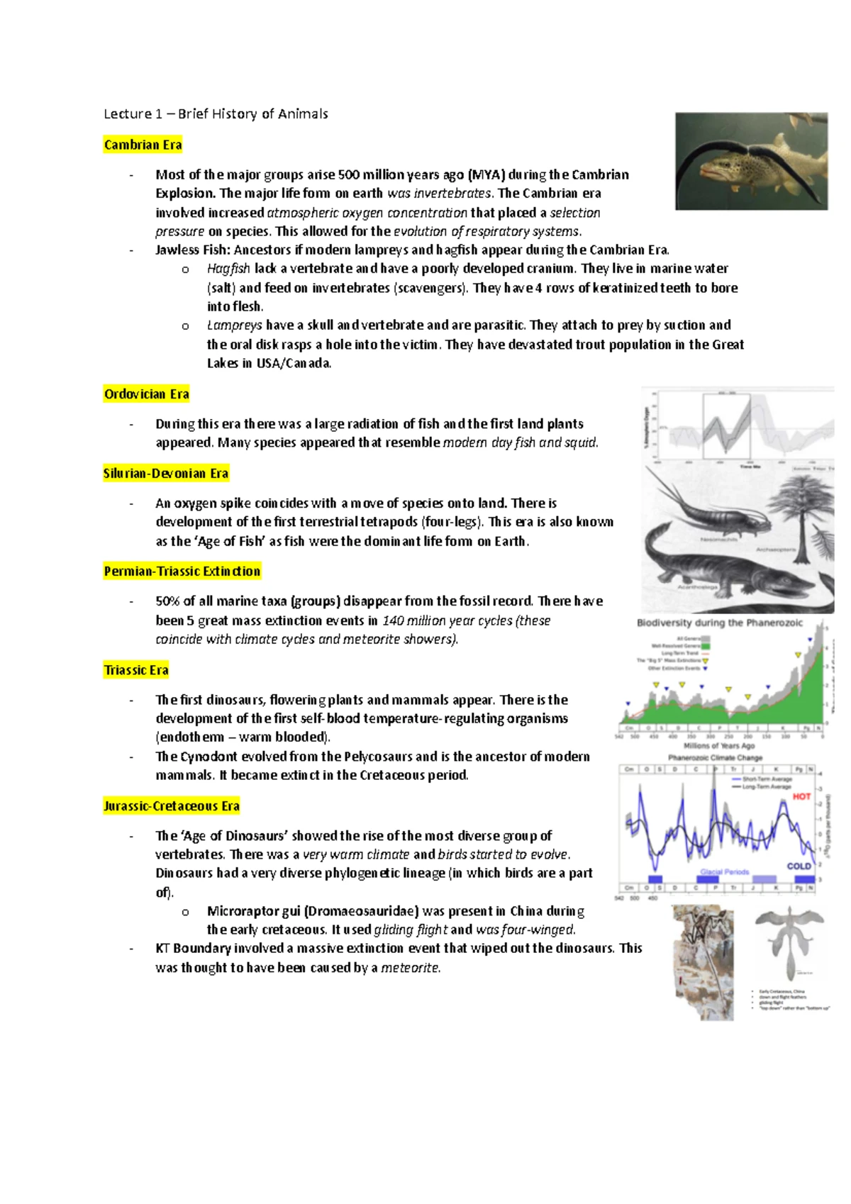 CHAT Lecture Notes: Introduction to Animal Diversity and Evolution ...