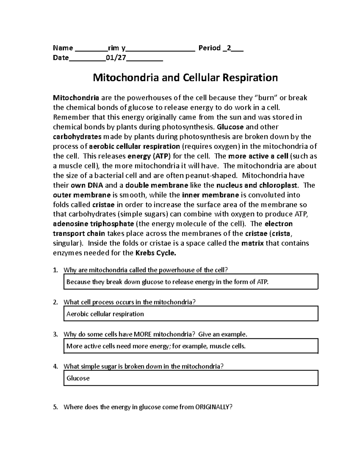Mitochondria and Cellular Respiration: Key Concepts and Processes - Studocu