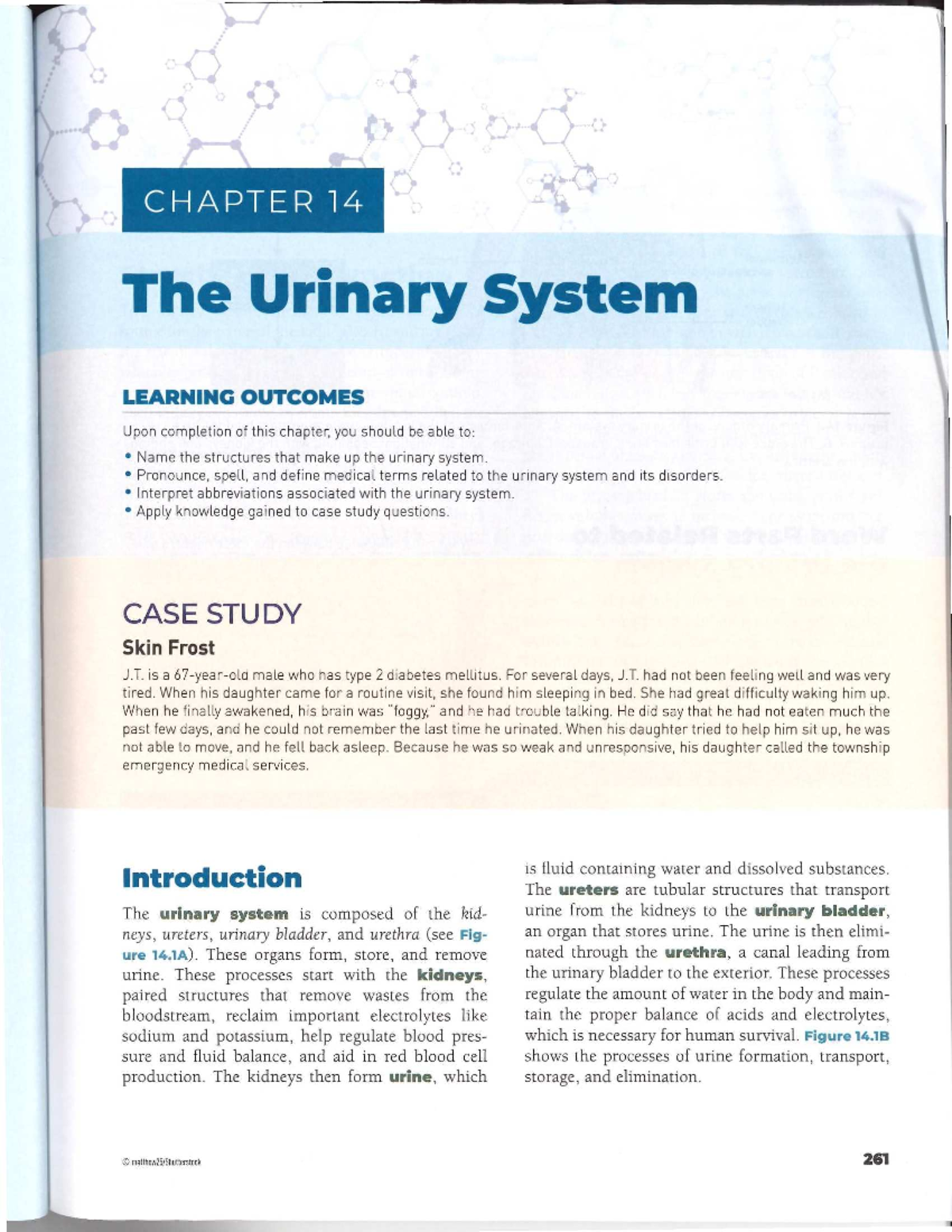 LOM 14: The Urinary System - Key Concepts and Case Study Insights - Studocu