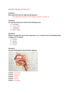 Module 1 - Exam Answer Key and Study Guide for Anatomy 101