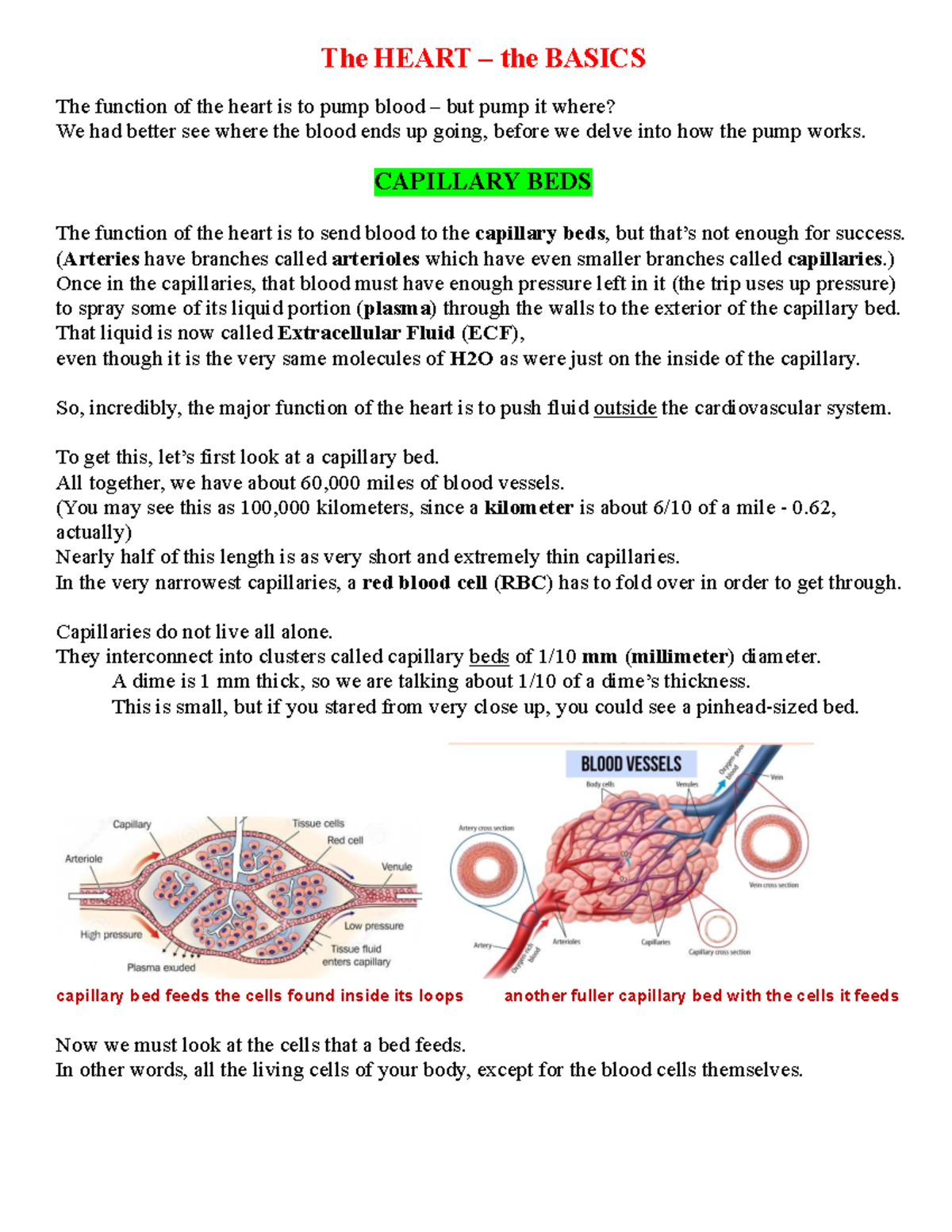 Heart Basics: Overview of Structure, Function, and Circulation ...